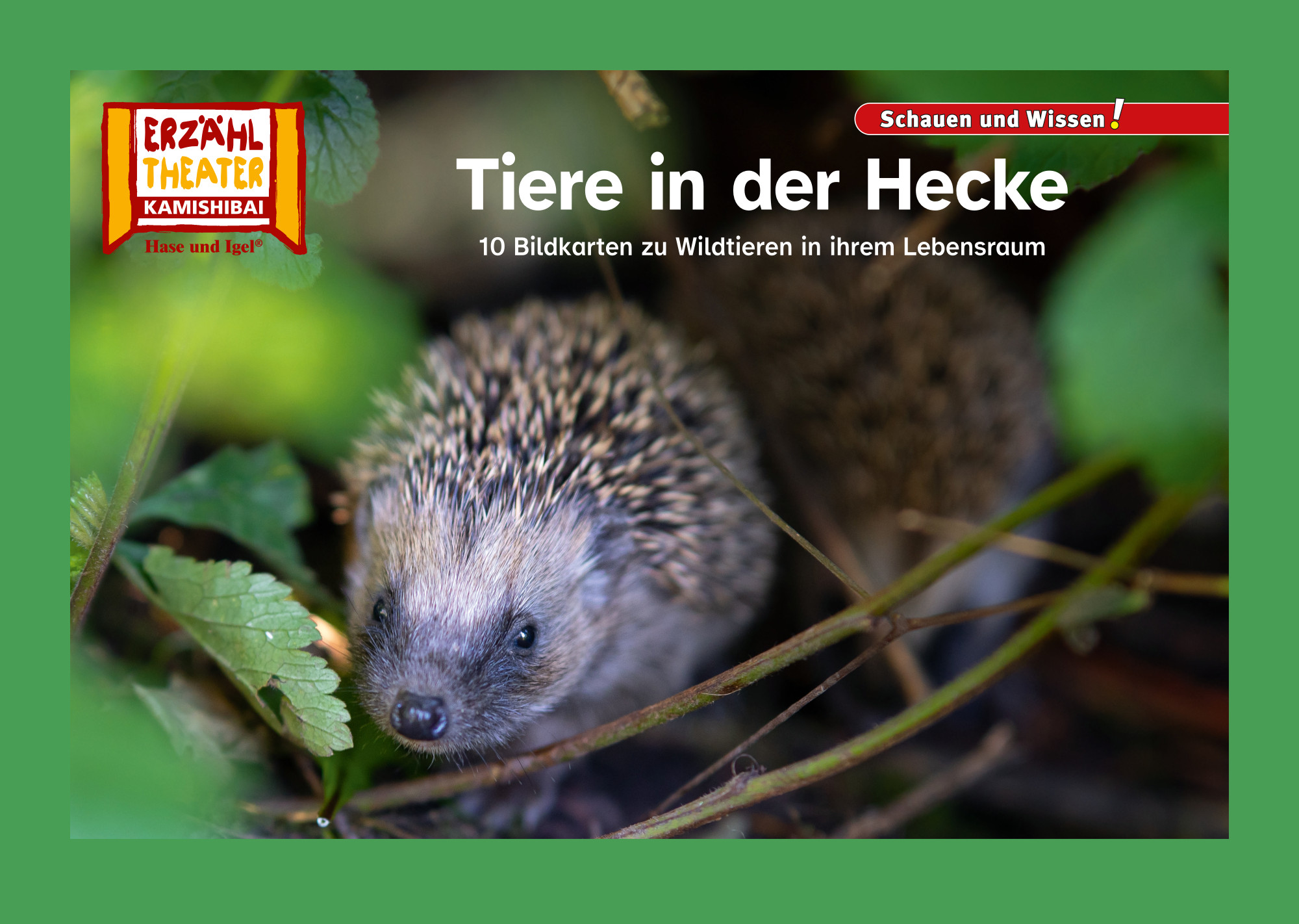 Tiere in der Hecke