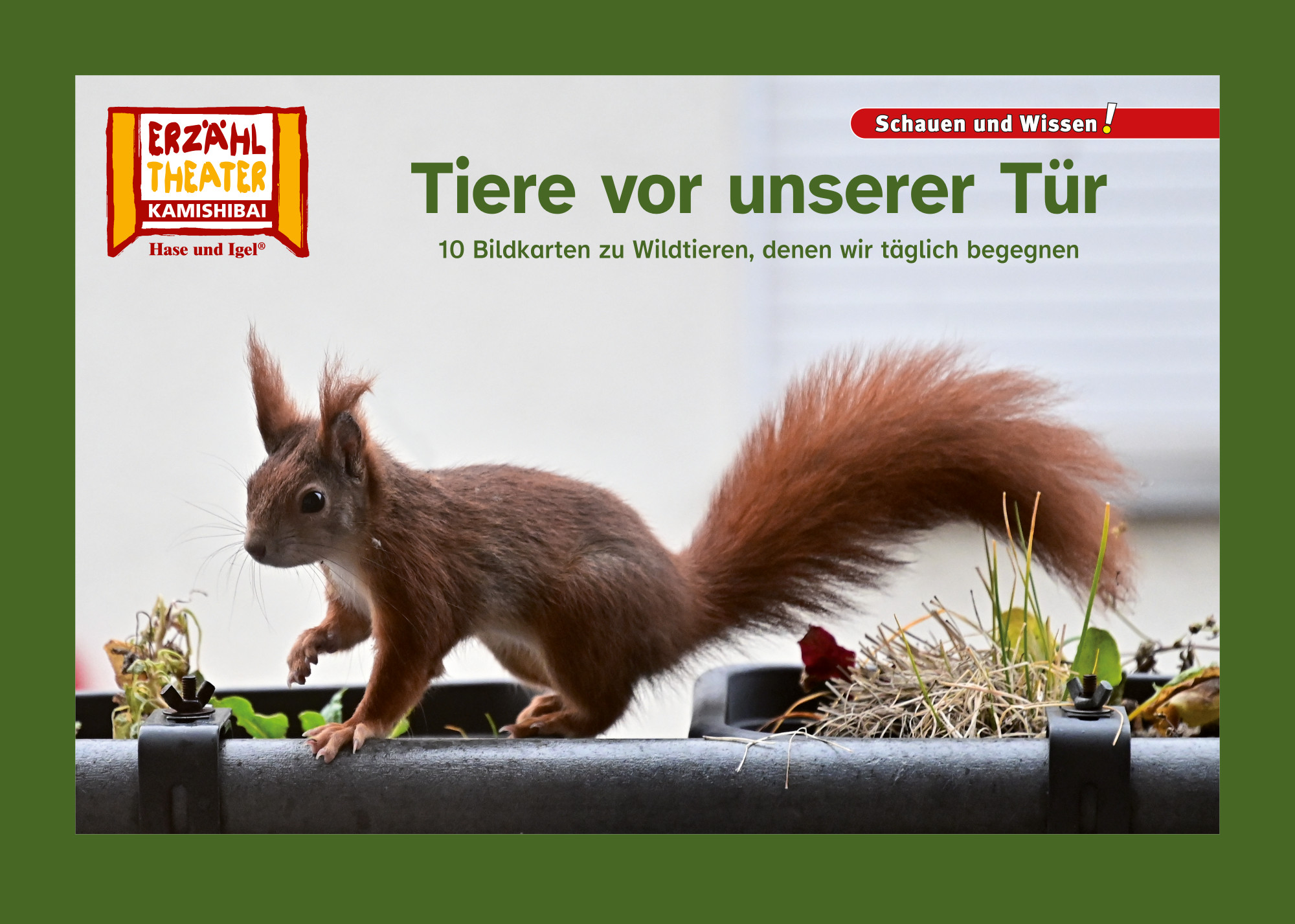 Tiere vor unserer Tür
